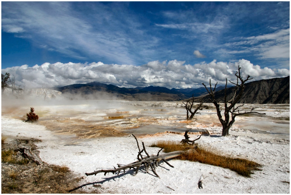 04 - Yellowstone NP (03).jpg